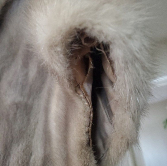 Vintage Cerulean Brand Emba Natural Blue Mutation Mink Cape - Picture 2 of 5